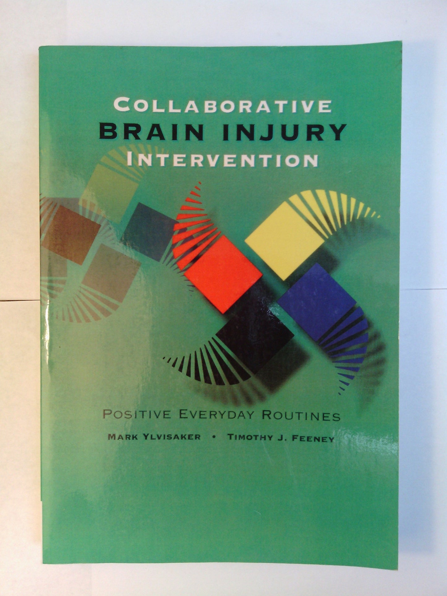 Collaborative Brain Injury Intervention: Positive Everyday R