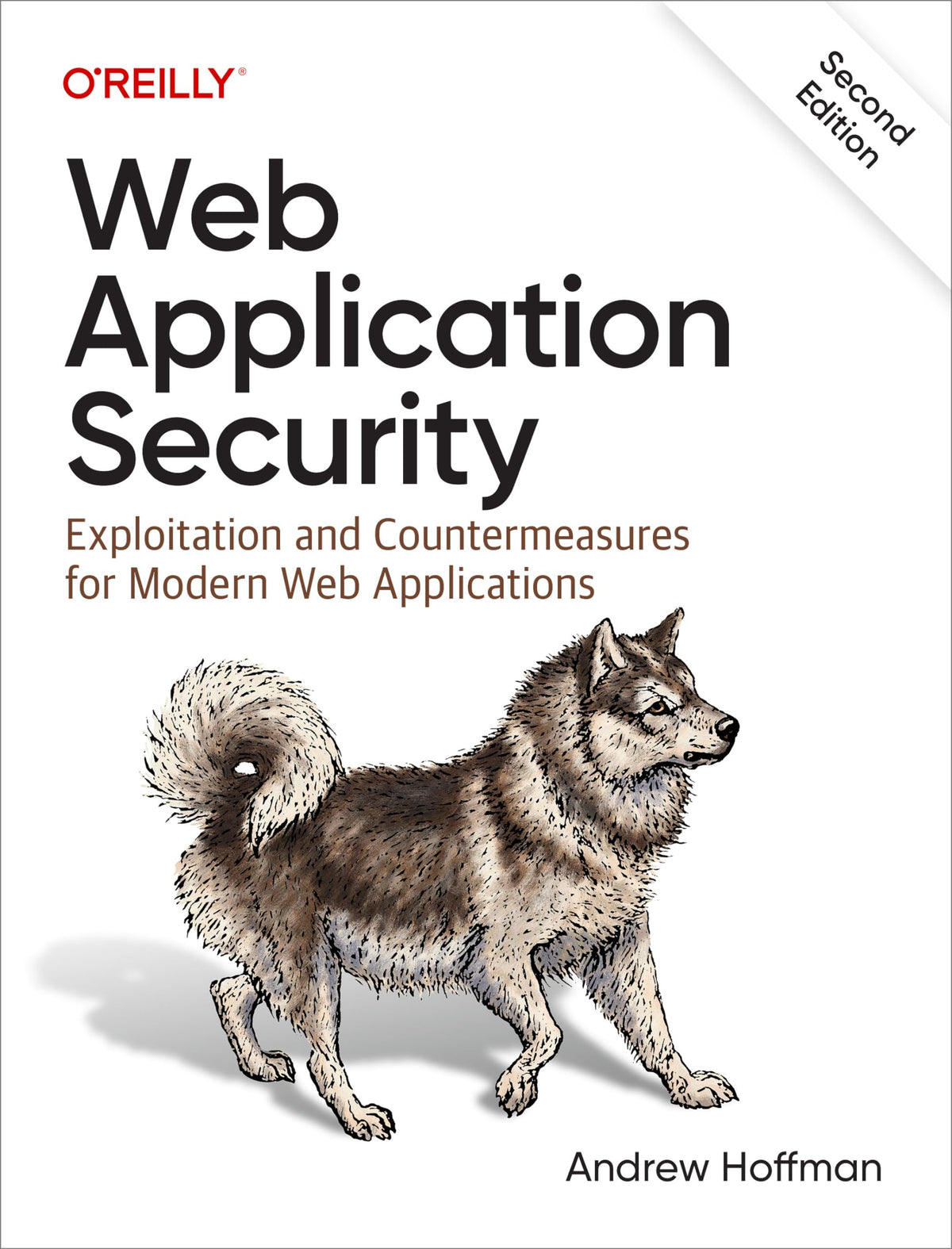 Web Application Security: Exploitation and Countermeasures for Modern Web Applications