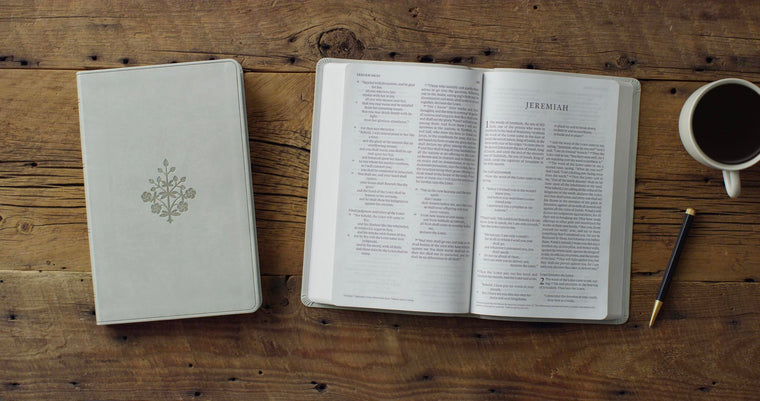 ESV Large Print Value Thinline Bible (TruTone, River Stone, Branch Design): Holy Bible, English Standard Version — back cover