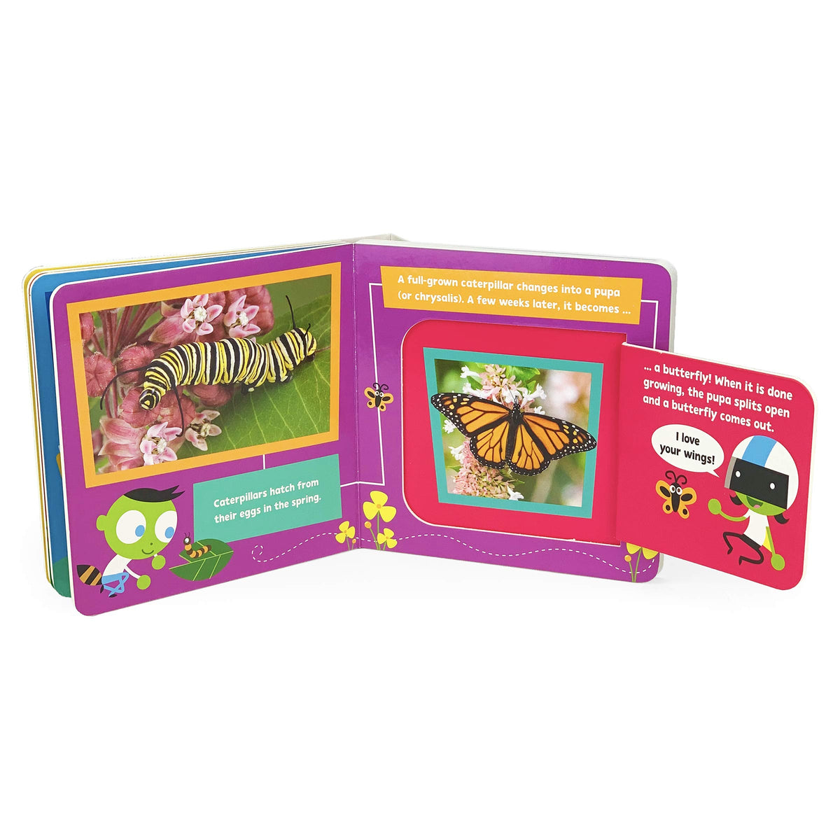 Bugs and Insects! A PBS Kids Lift-a-Flap Board Book for Babies and Toddlers, Ages 1-4 (Pbs Kids Chunky Lift-a-flap Board Book)