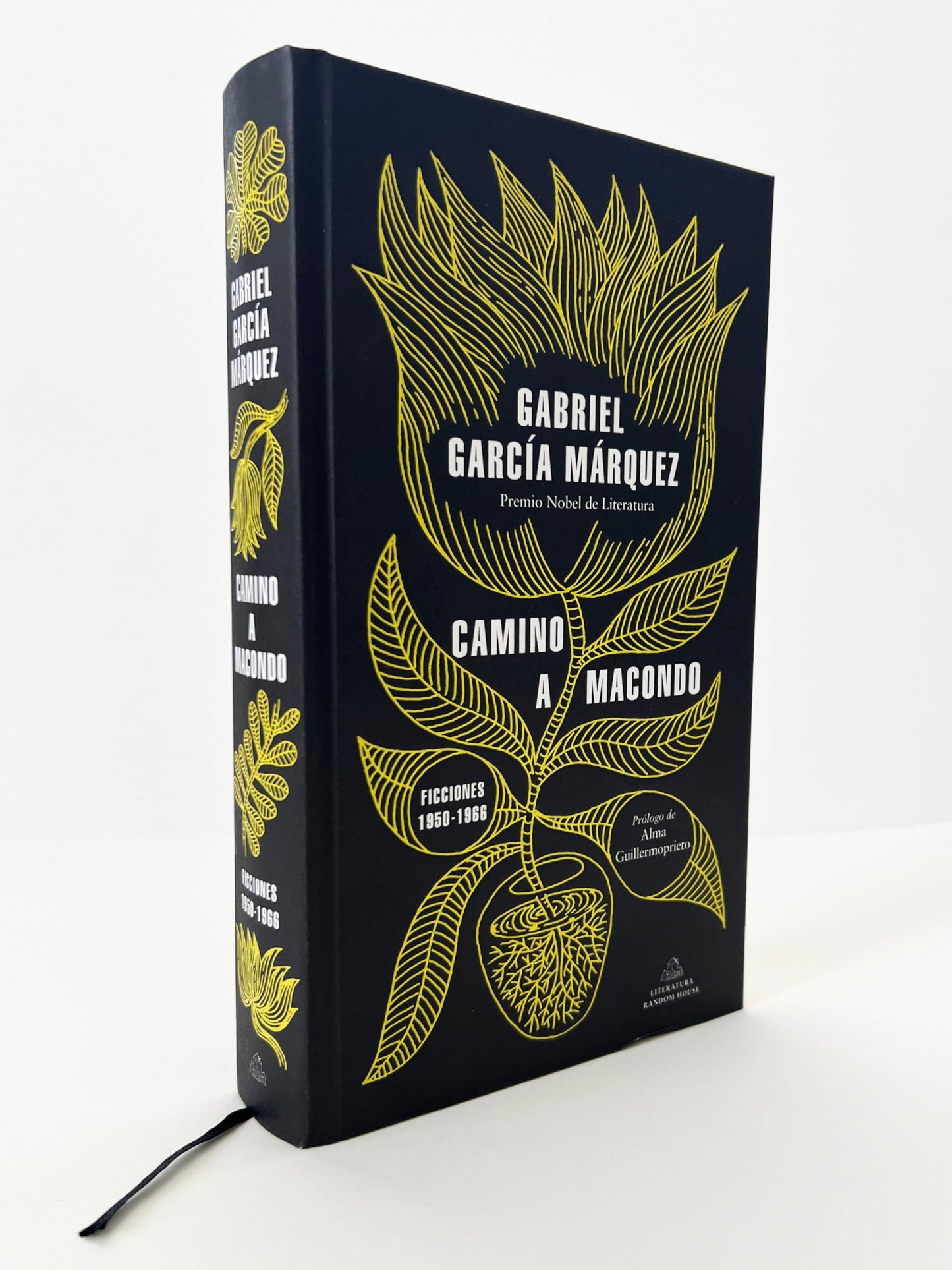 Camino a Macondo / The Road to Macondo (Spanish Edition)
