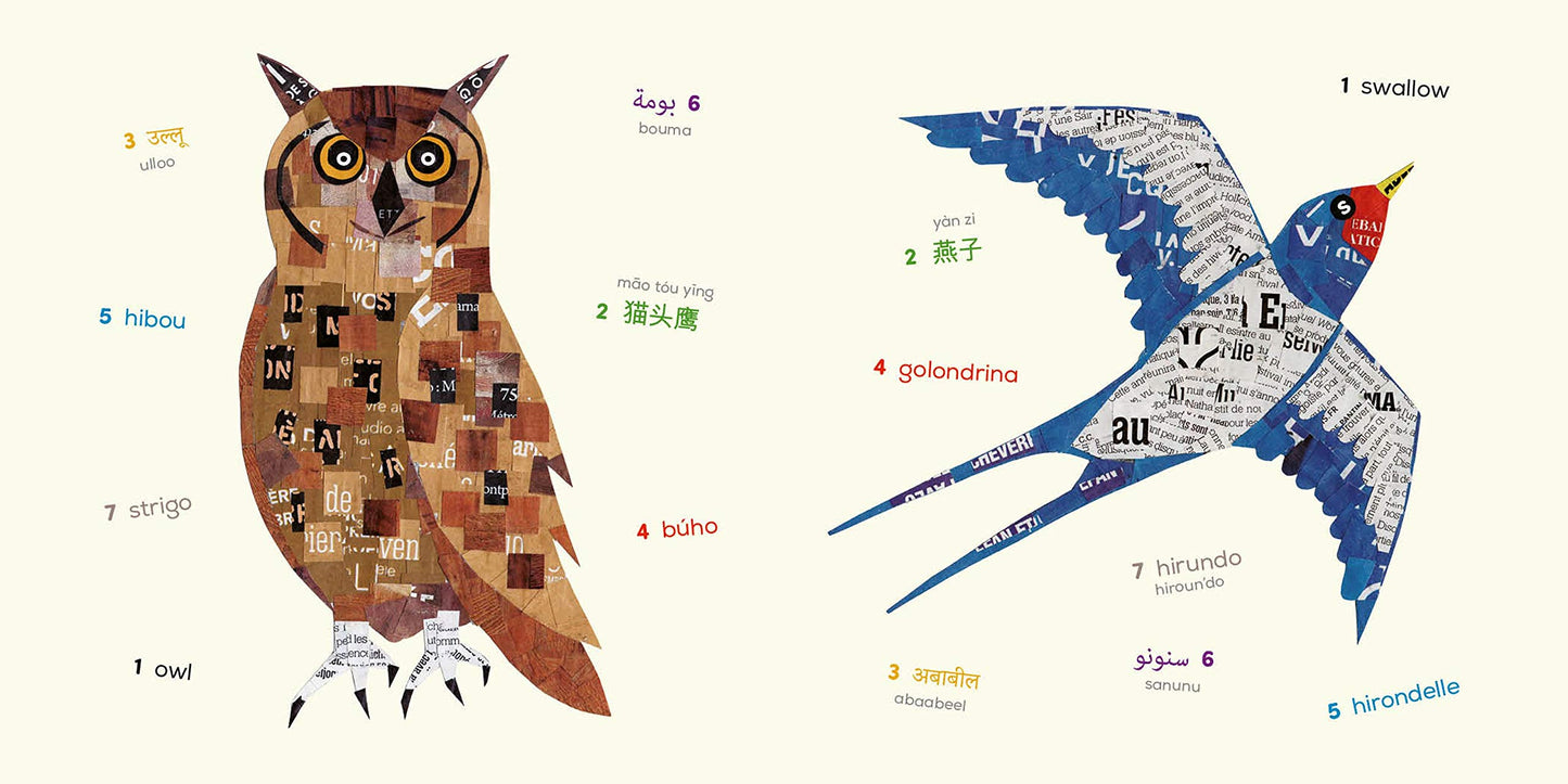 Birds (Multilingual Board Book) (Words of the World Series)