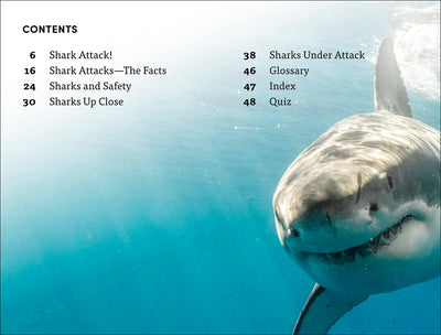 DK Super Readers Level 4 Shark Attack