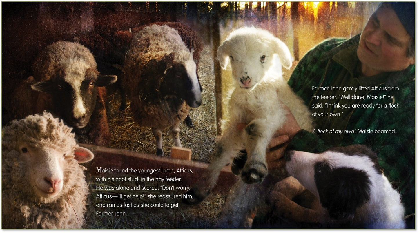 A Farm for Maisie (Sweet Pea & Friends, 3)