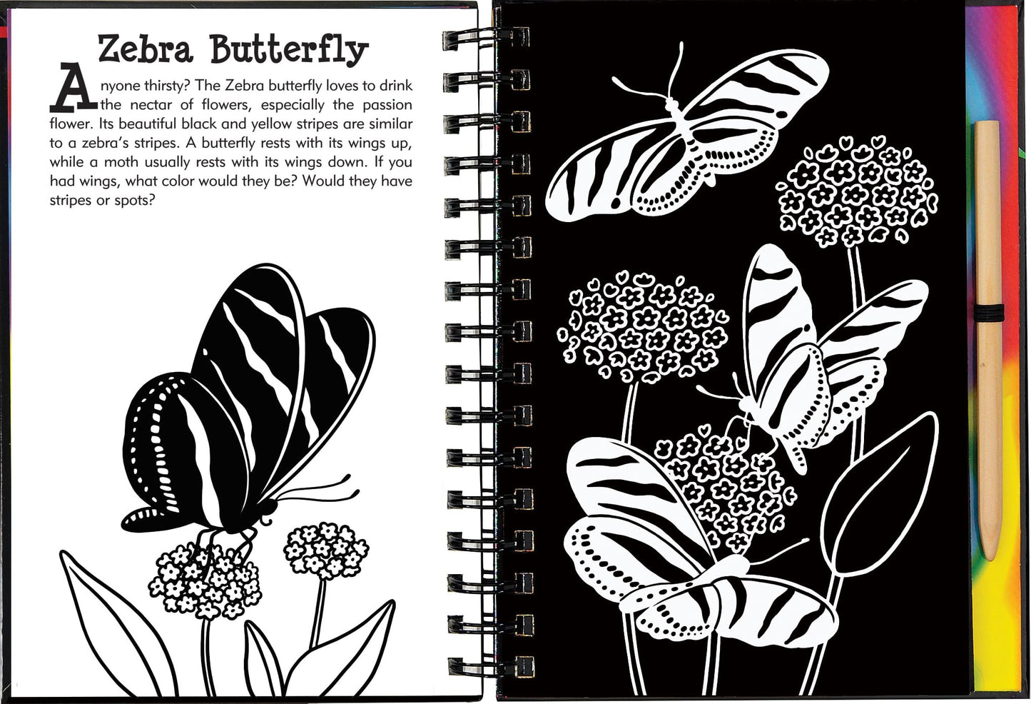 Scratch & Sketch Butterflies & Friends (Trace Along)