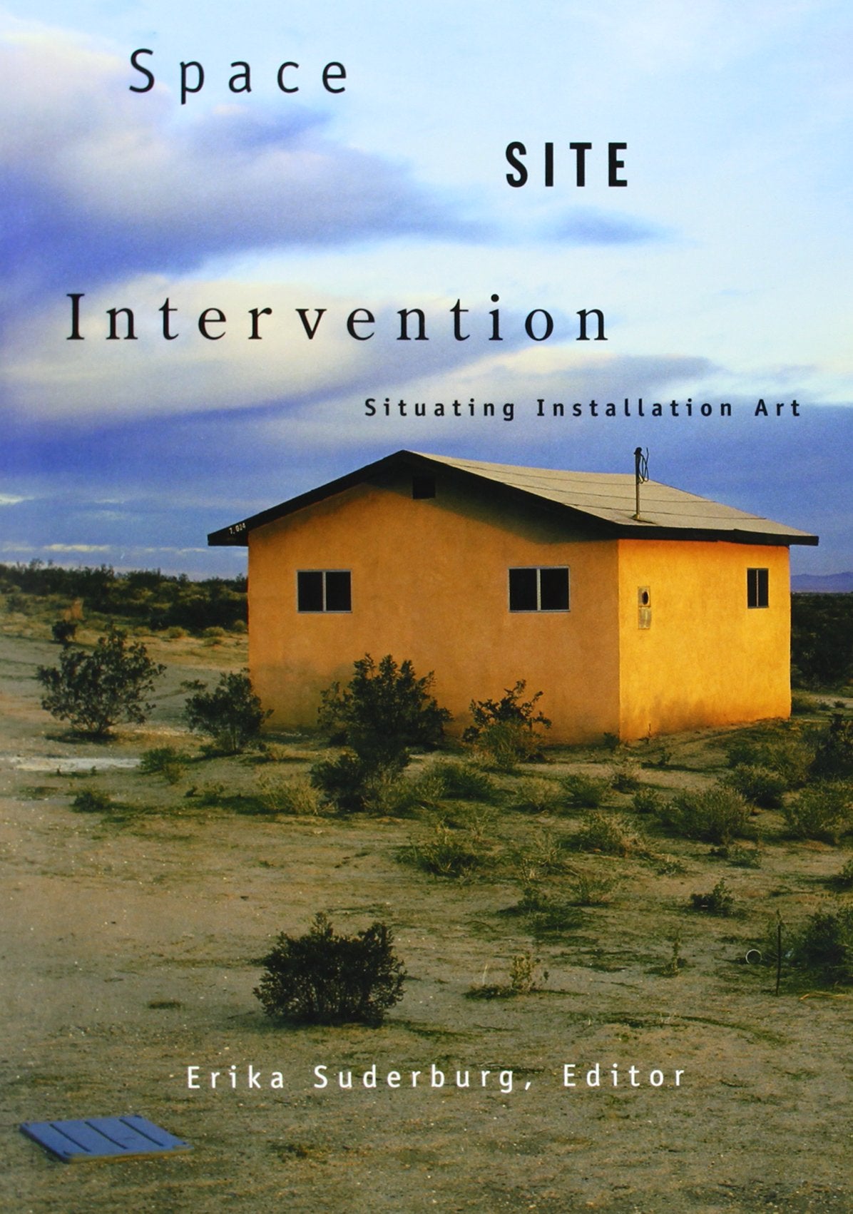 Space, Site, Intervention: Situating Installation Art