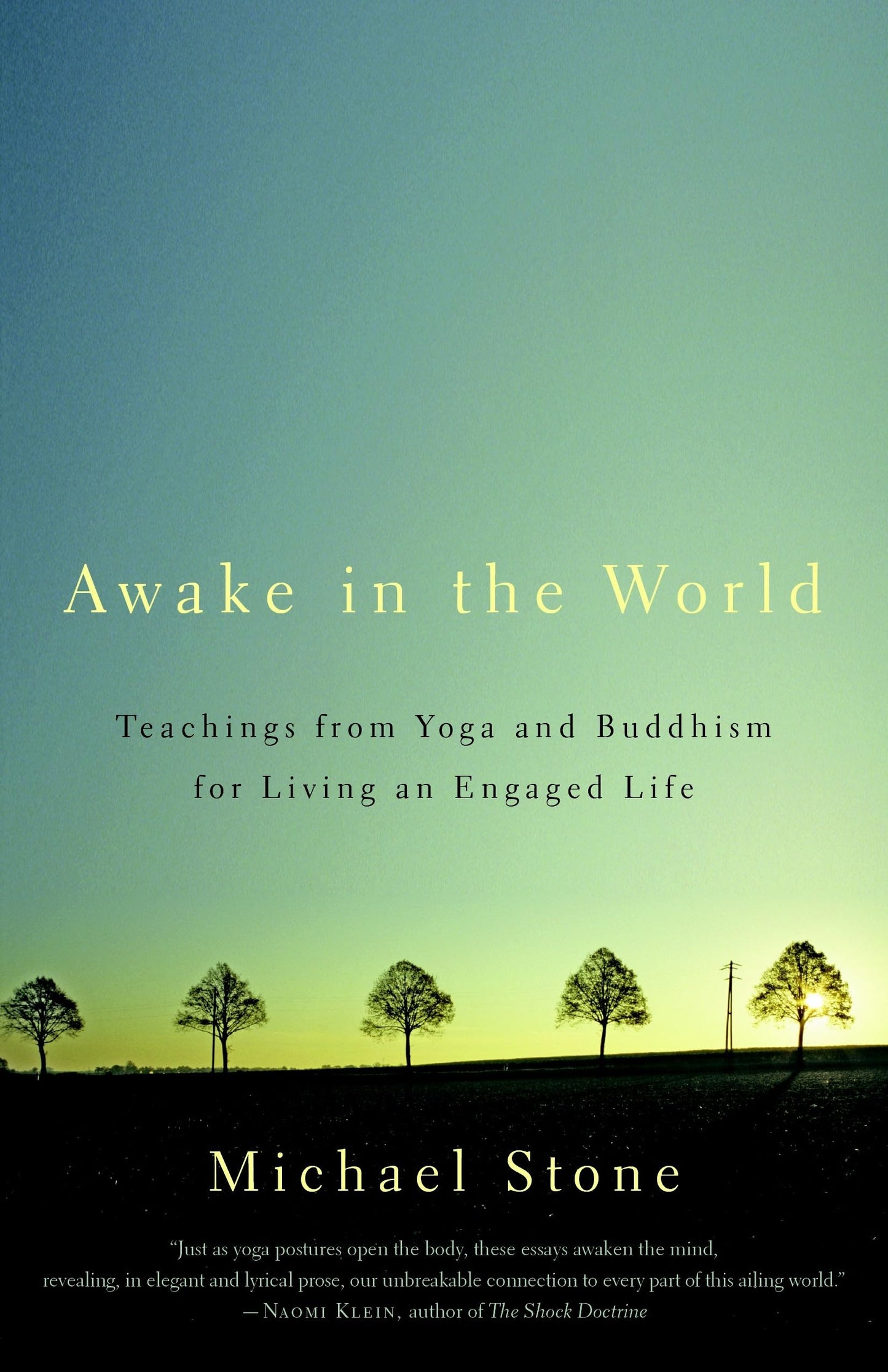 Awake in the World: Teachings from Yoga and Buddhism for Living an Engaged Life