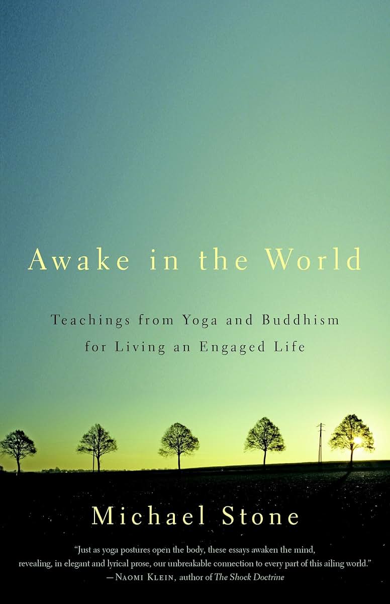 Awake in the World: Teachings from Yoga and Buddhism for Living an Engaged Life