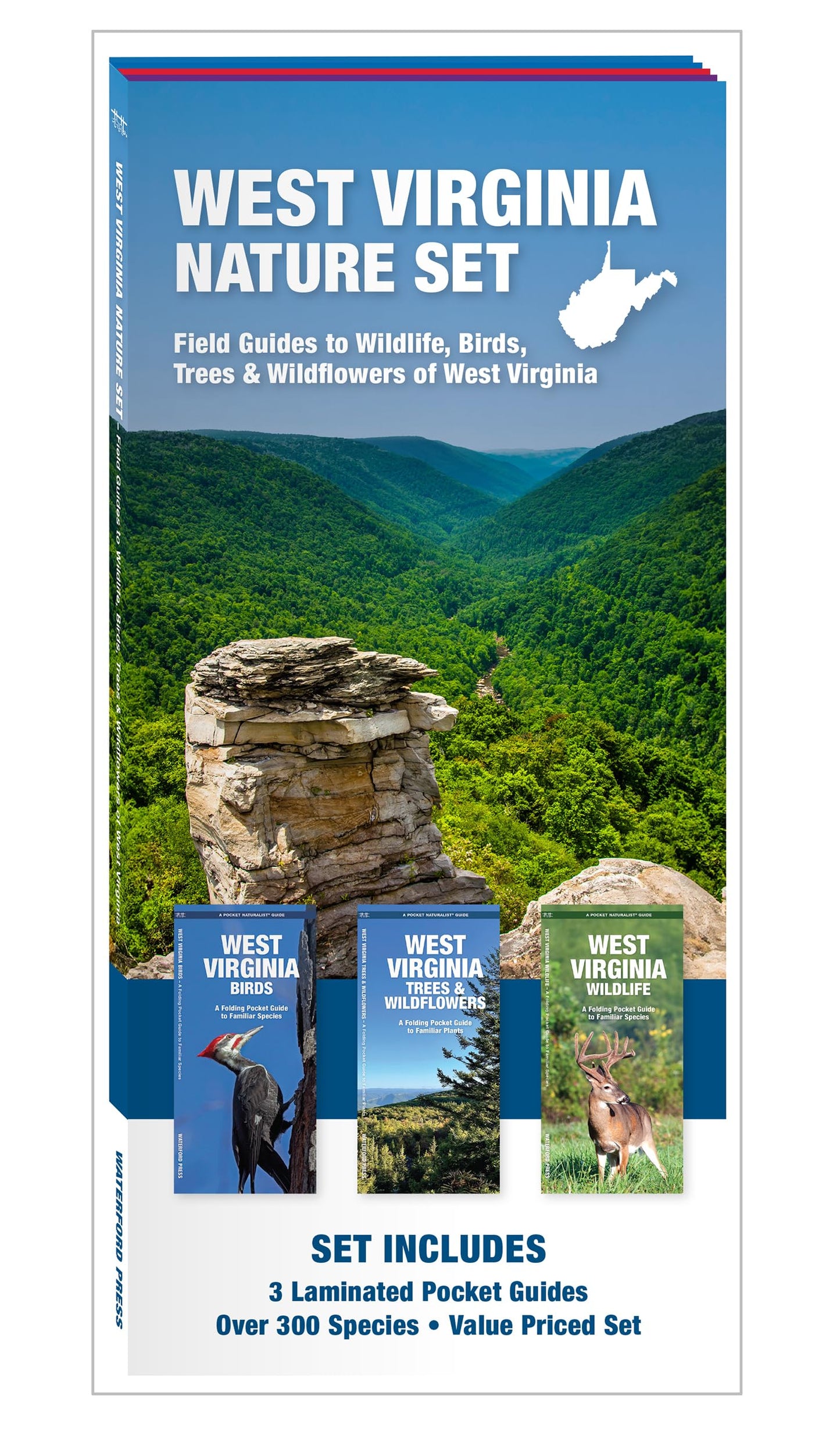 West Virginia Nature Set: Field Guides to Wildlife, Birds, Trees & Wildflowers of West Virginia (Nature Observation North America)