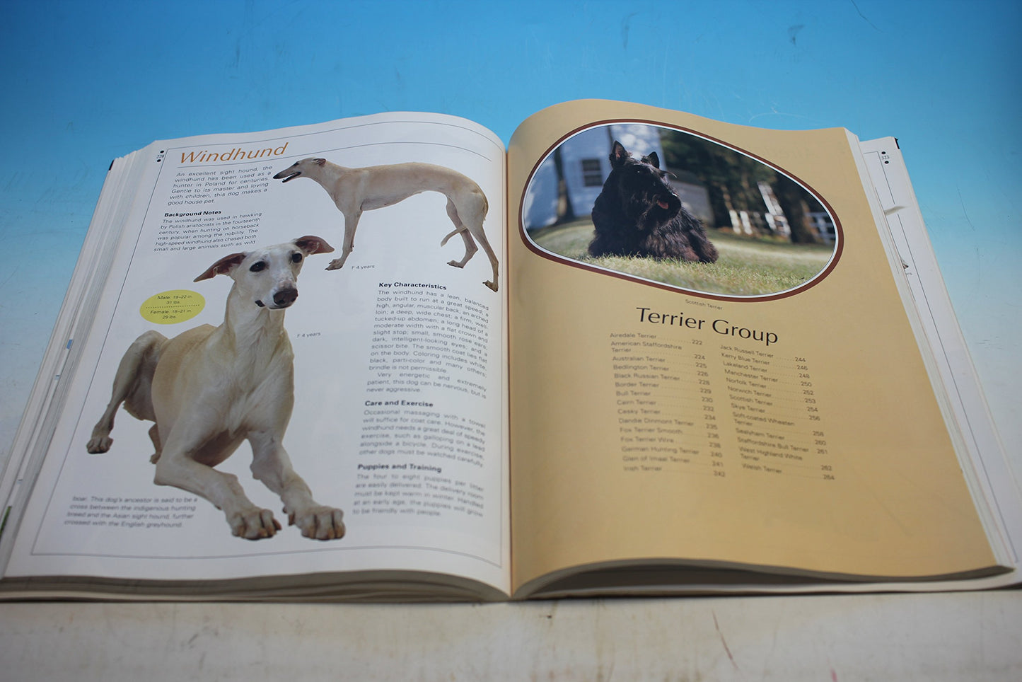 Legacy of the Dog: The Ultimate Illustrated Guide to Over 200 Breeds