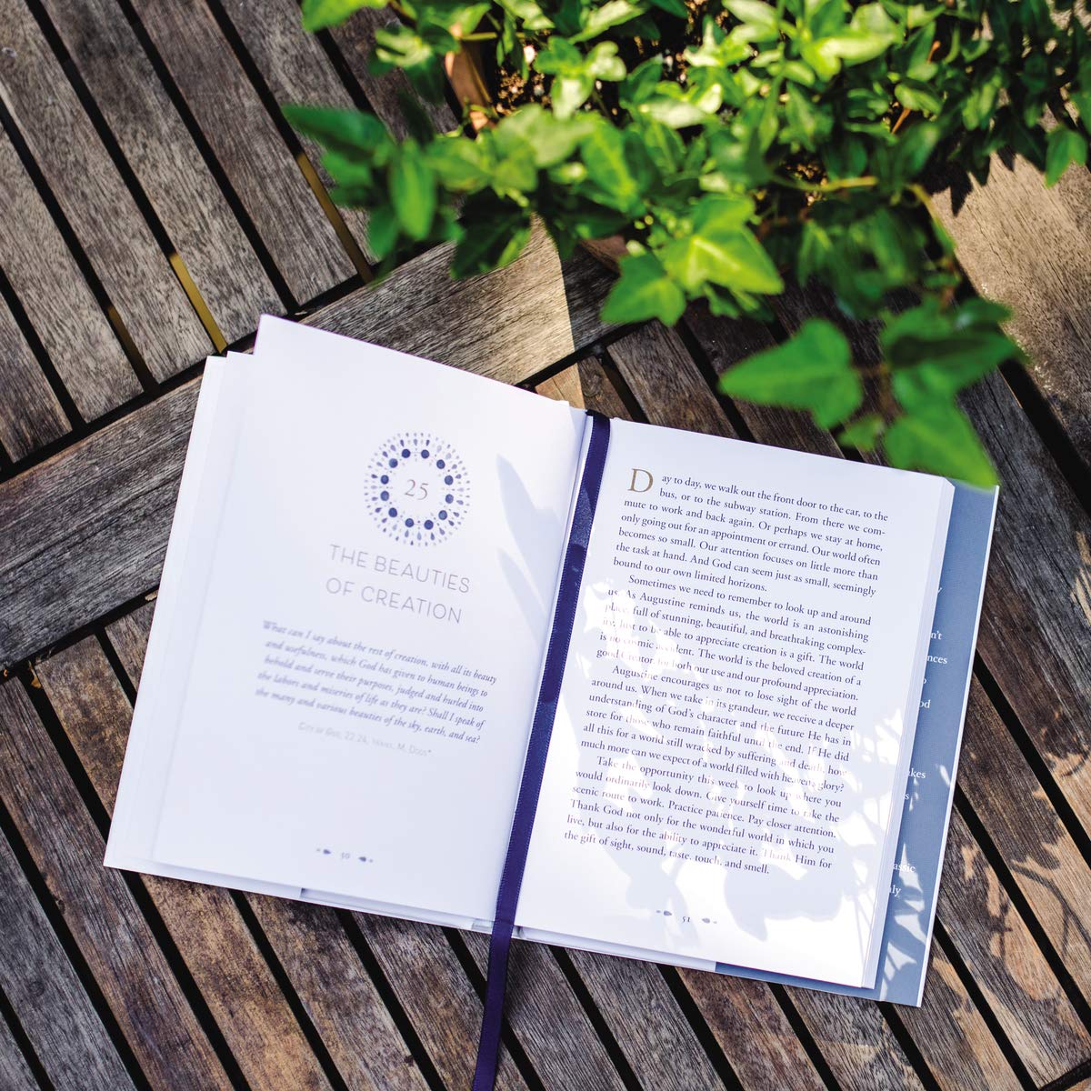 God Above All: 90 Devotions to Know the Life-Altering Love of God