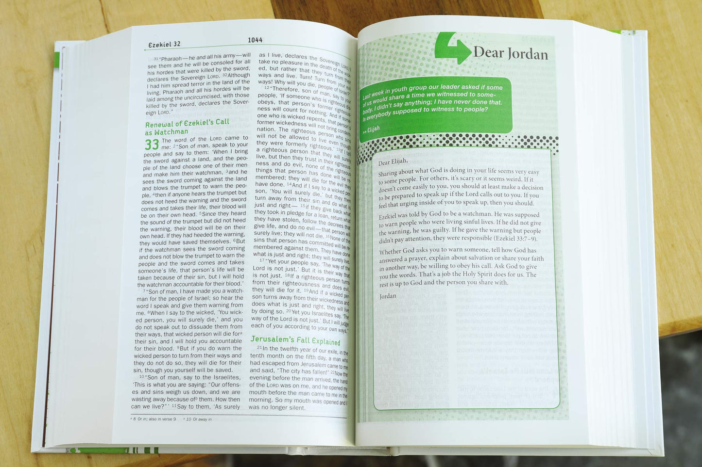 NIV, Teen Study Bible, Hardcover