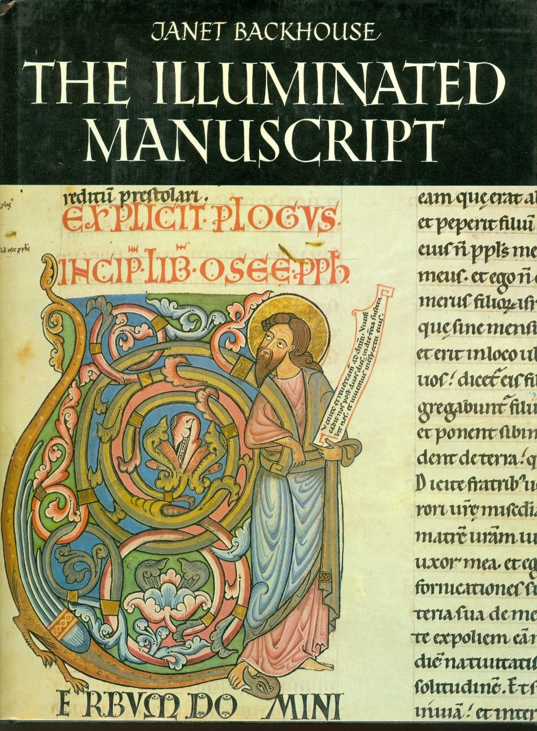 The illuminated manuscript by Backhouse, Janet