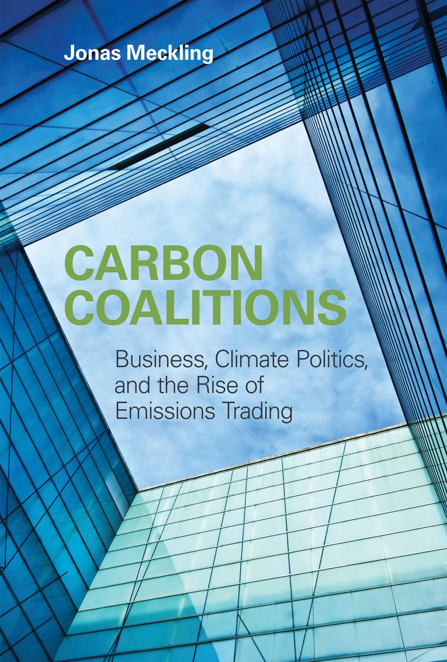 Carbon Coalitions: Business, Climate Politics, and the Rise of Emissions Trading (Mit Press)