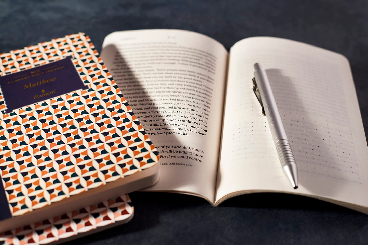 NLT Filament Bible Journal: James (Softcover)