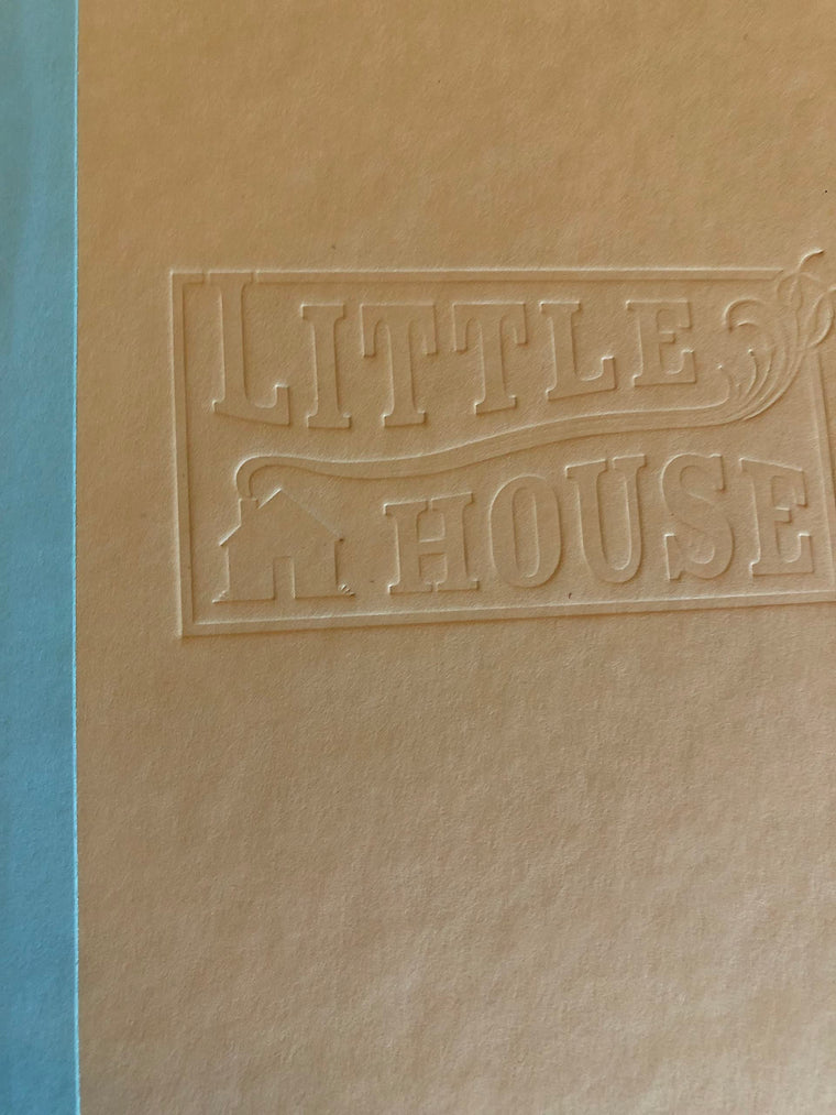 Mary Ingalls on Her Own (Little House Sequel) — back cover