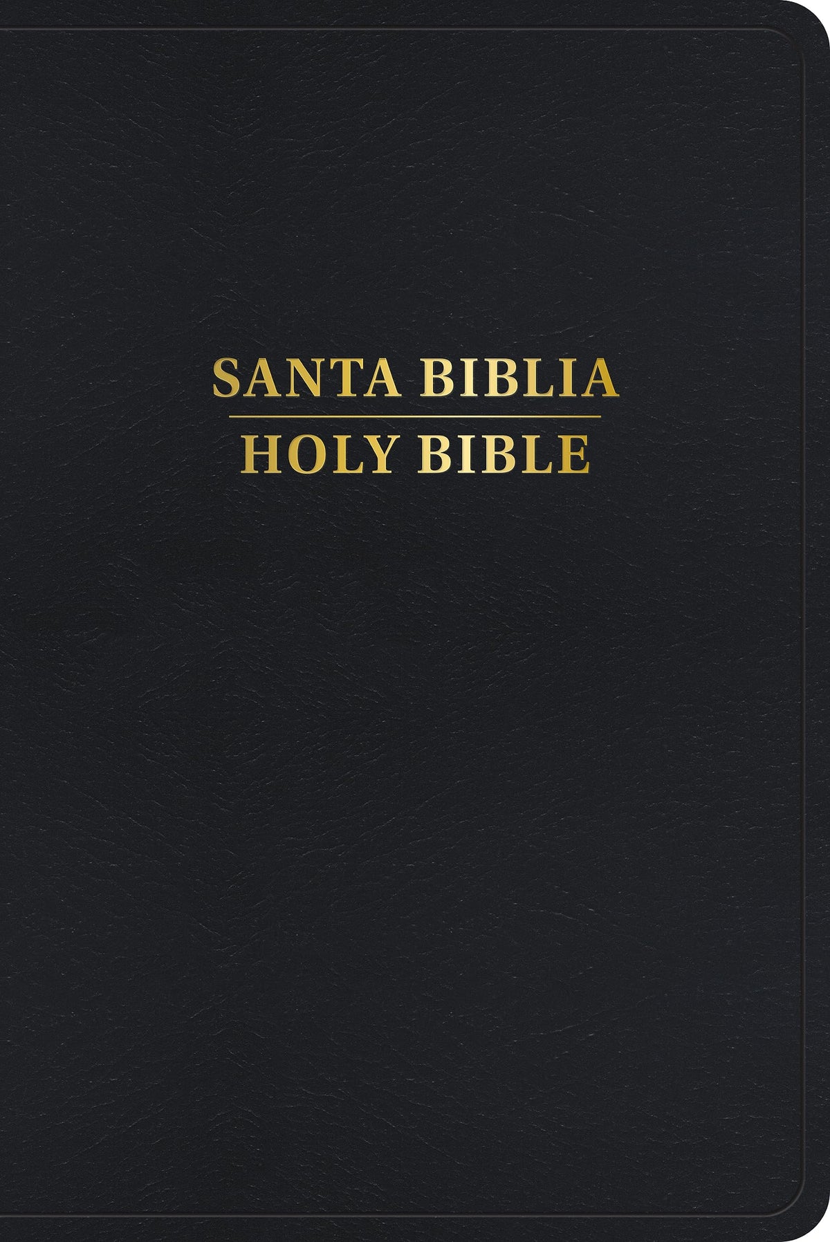 RVR 1960 KJV Biblia Bilinge, Smil Piel con ndice (RVR 1960 KJV Bilingual Bible LeatherTouch Indexed) (Spanish and English Edition)