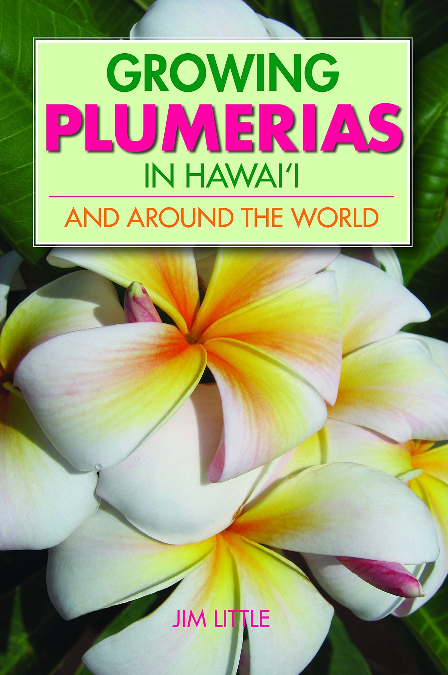 Growing Plumerias in Hawaii