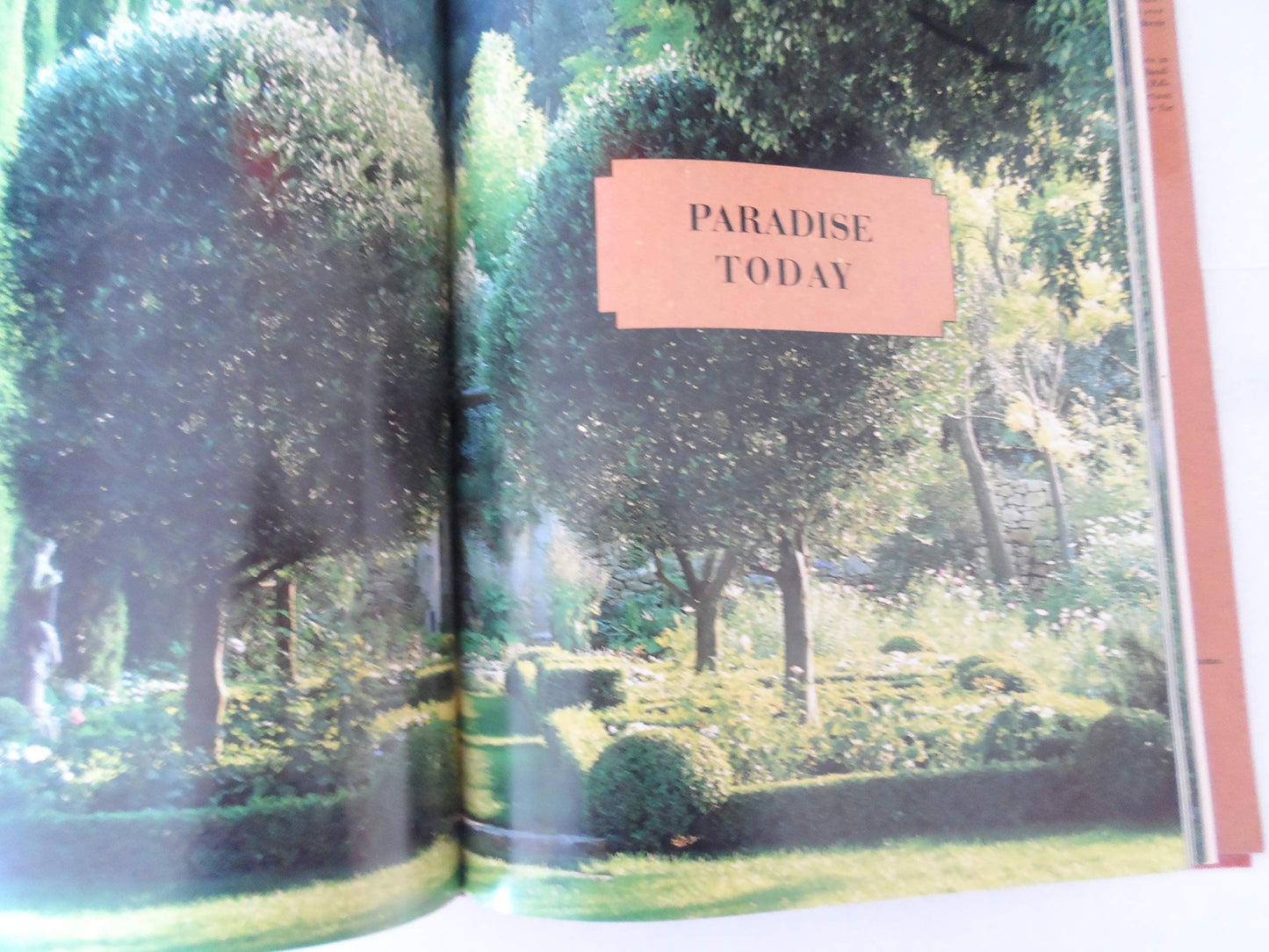 Gardens in Provence