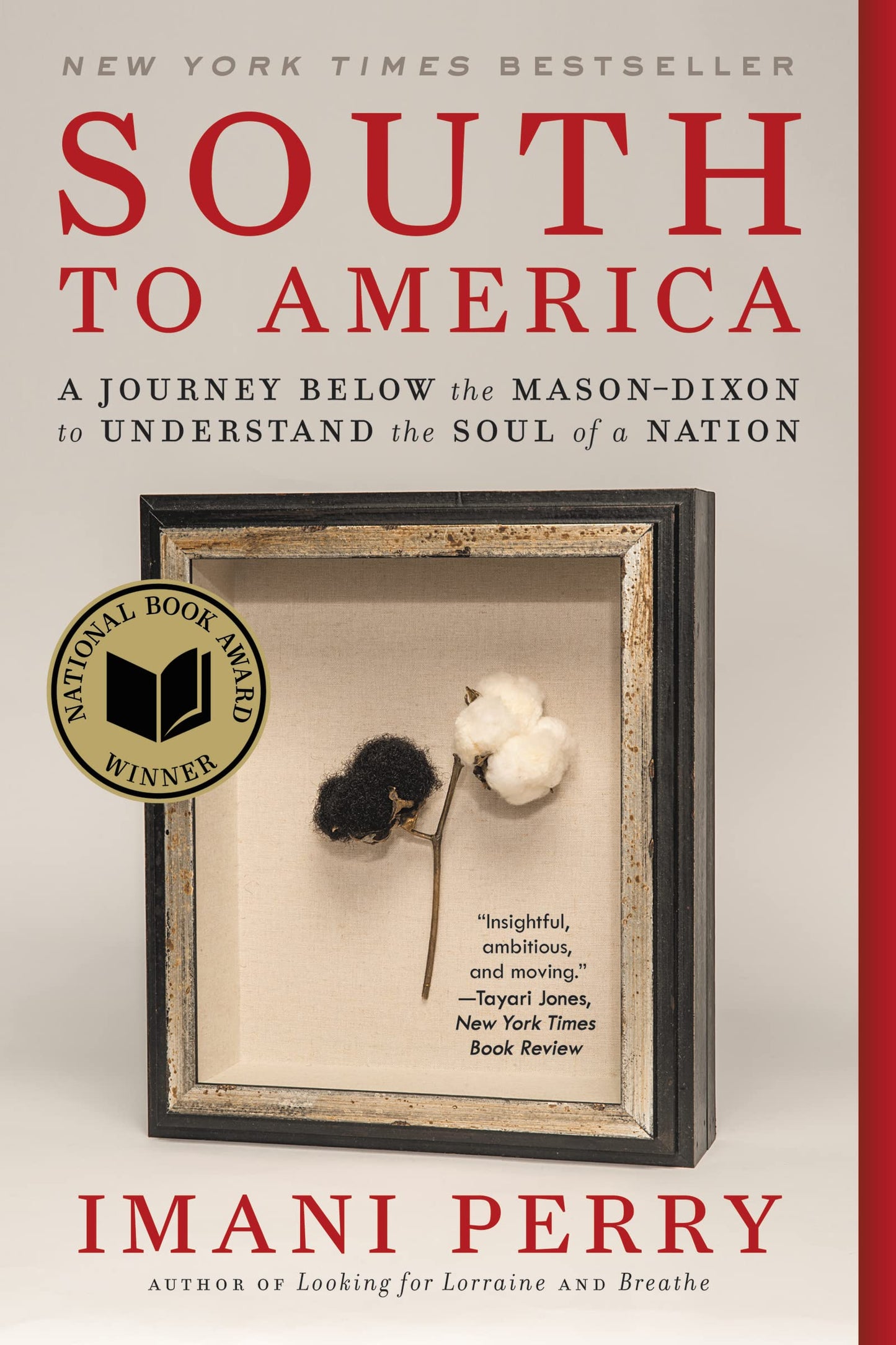 South to America: A Journey Below the Mason-Dixon to Underst