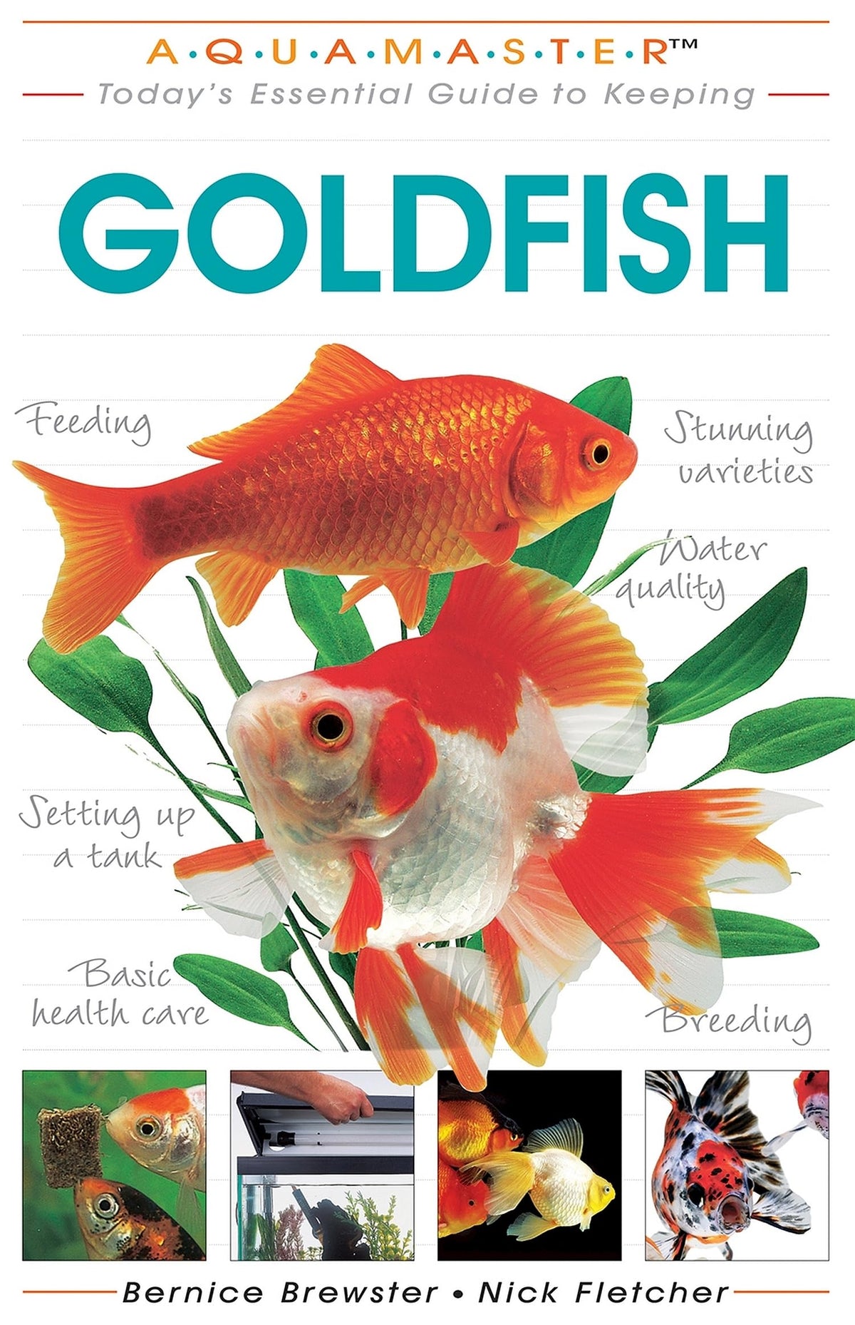 Today's Essential Guide to Keeping Goldfish (CompanionHouse Books)