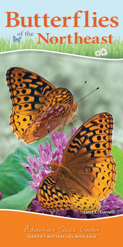 Butterflies of the Northeast: Identify Butterflies with Ease (Adventure Quick Guides)