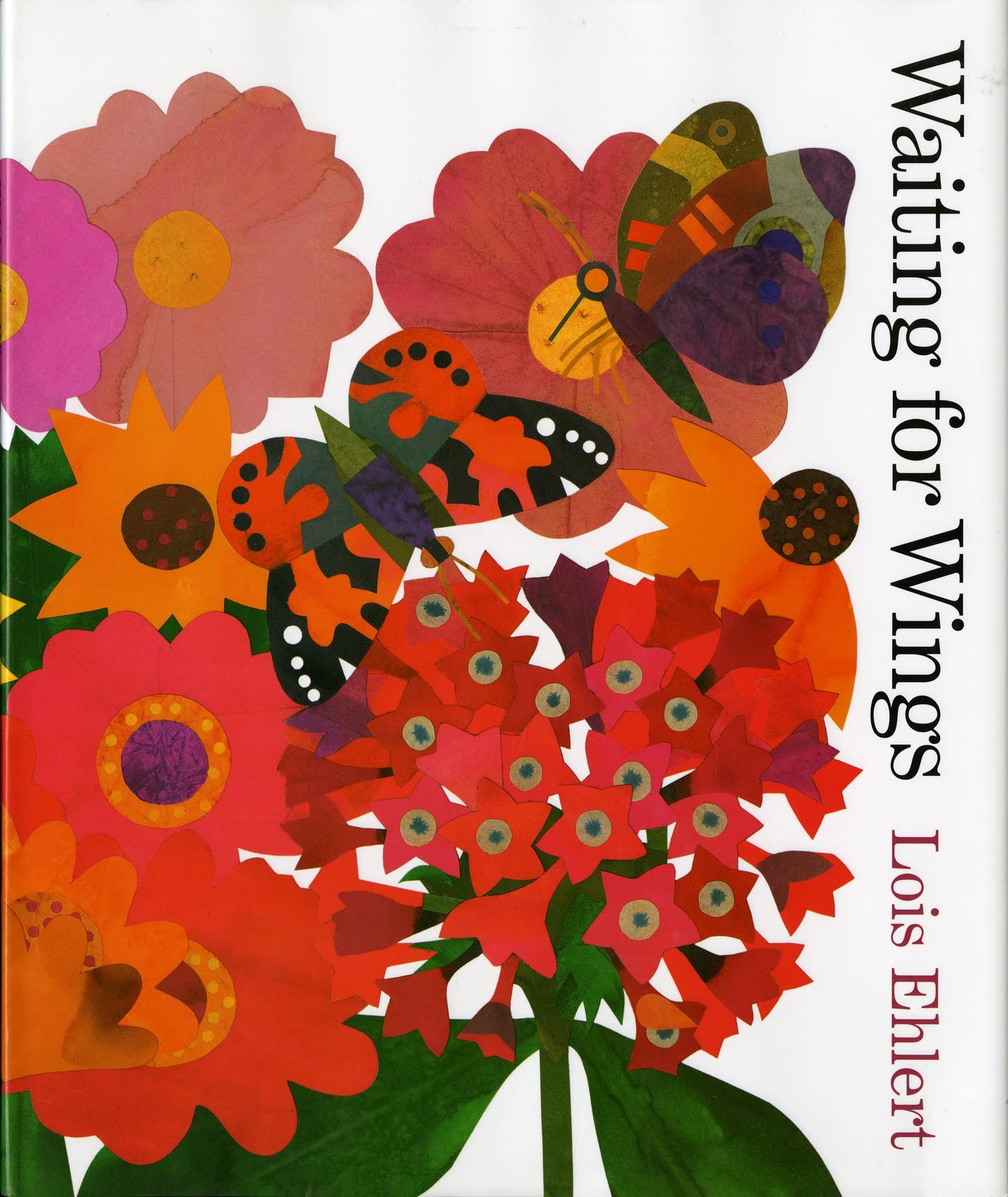 Waiting for Wings (Rise and Shine) by Lois Ehlert