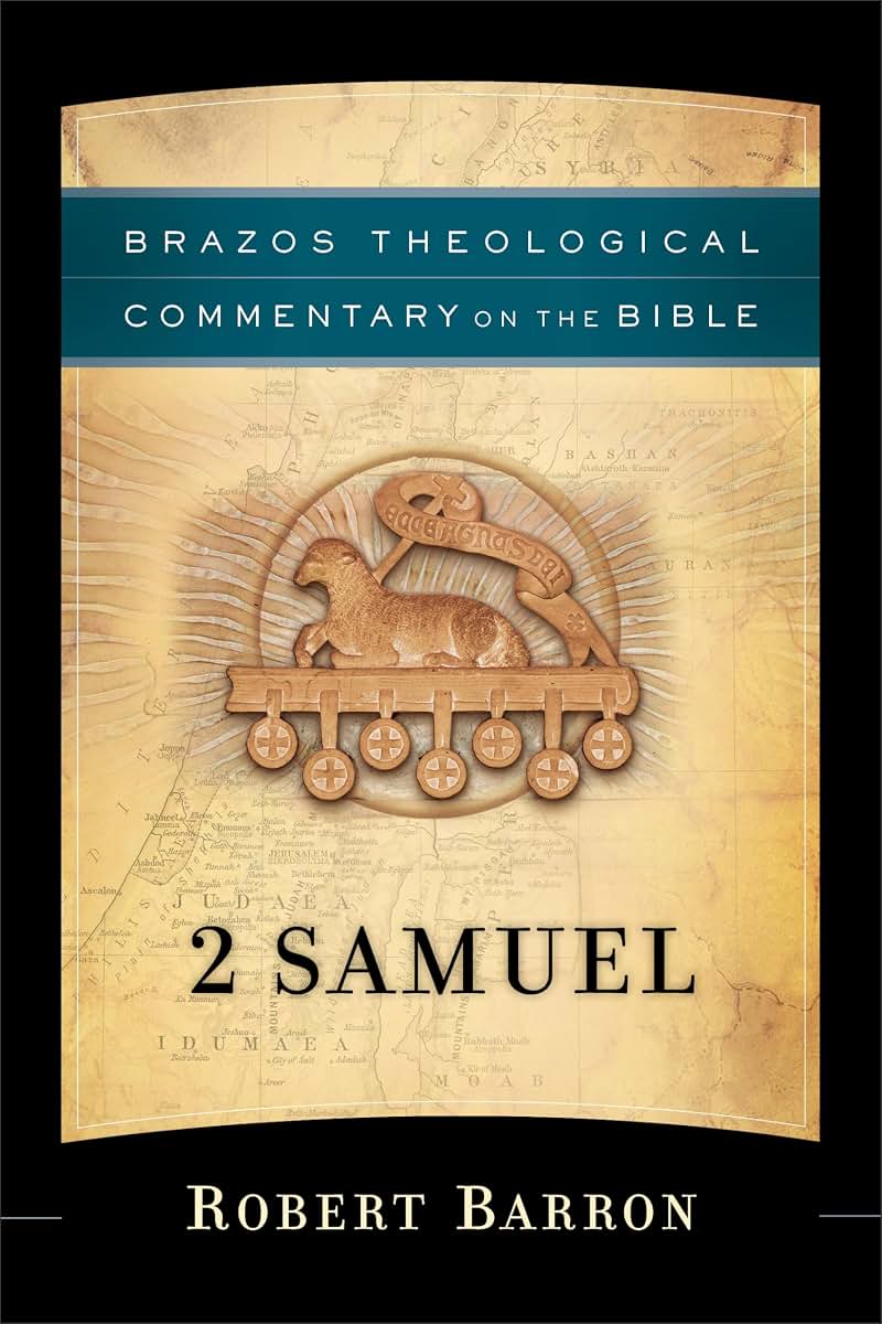 2 Samuel: (A Theological Bible Commentary on 2 Samuel from Leading Contemporary Theologians - BTC) (Brazos Theological Commentary on the Bible)