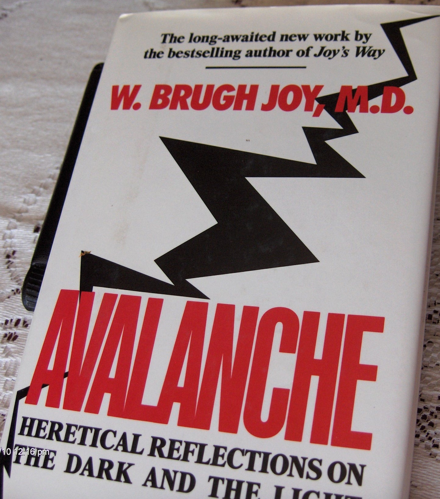 Avalanche: Heretical Reflections on the Dark and the Light b