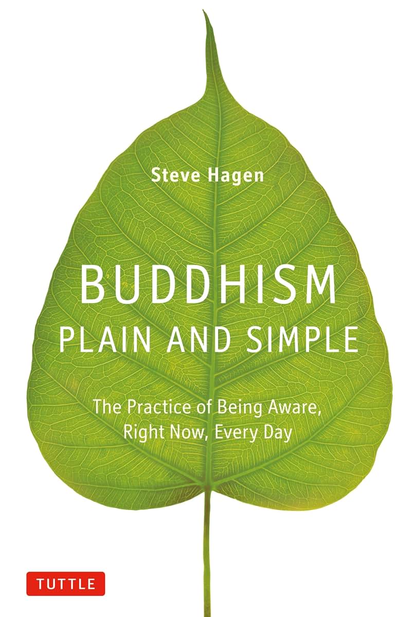 Buddhism Plain and Simple: The Practice of Being Aware