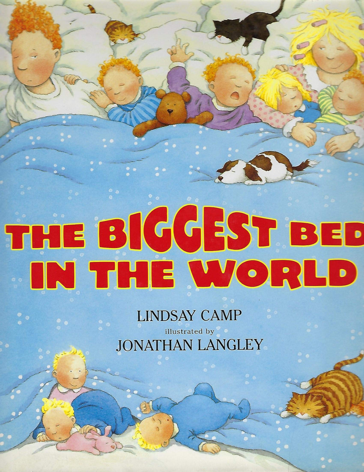The Biggest Bed in the World
