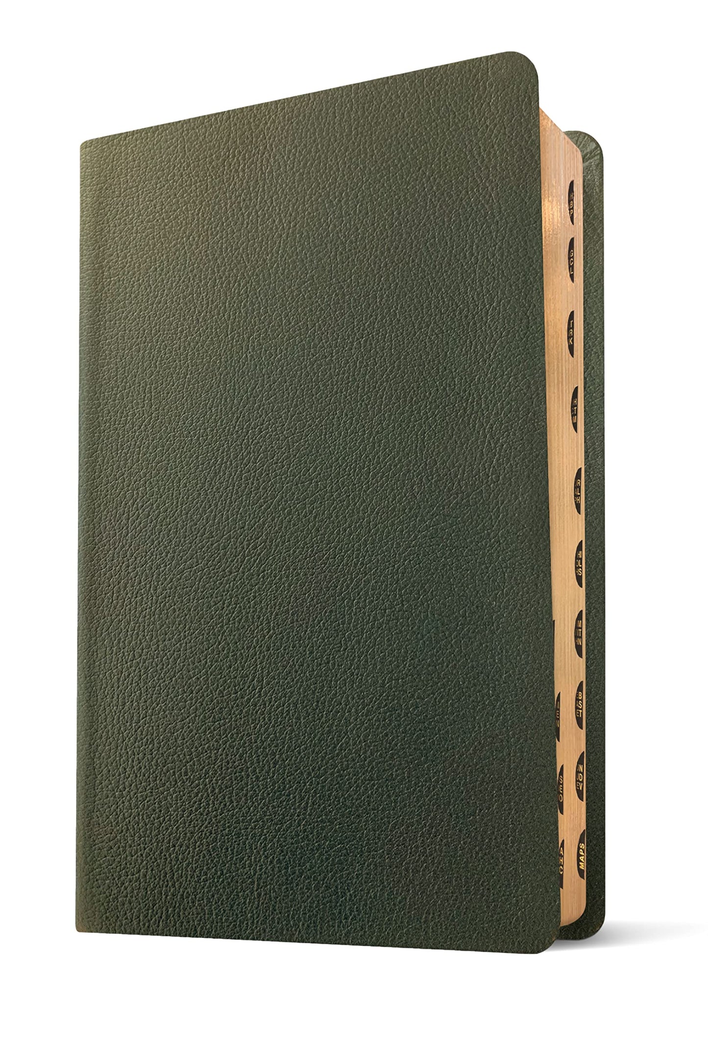 NLT Thinline Reference Bible, Filament Enabled (Genuine Leather, Olive Green, Indexed, Red Letter)