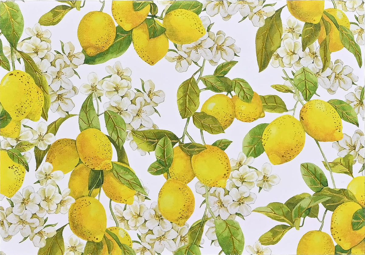 Amalfi Lemons Note Cards (14 cards, 15 self-sealing envelopes)