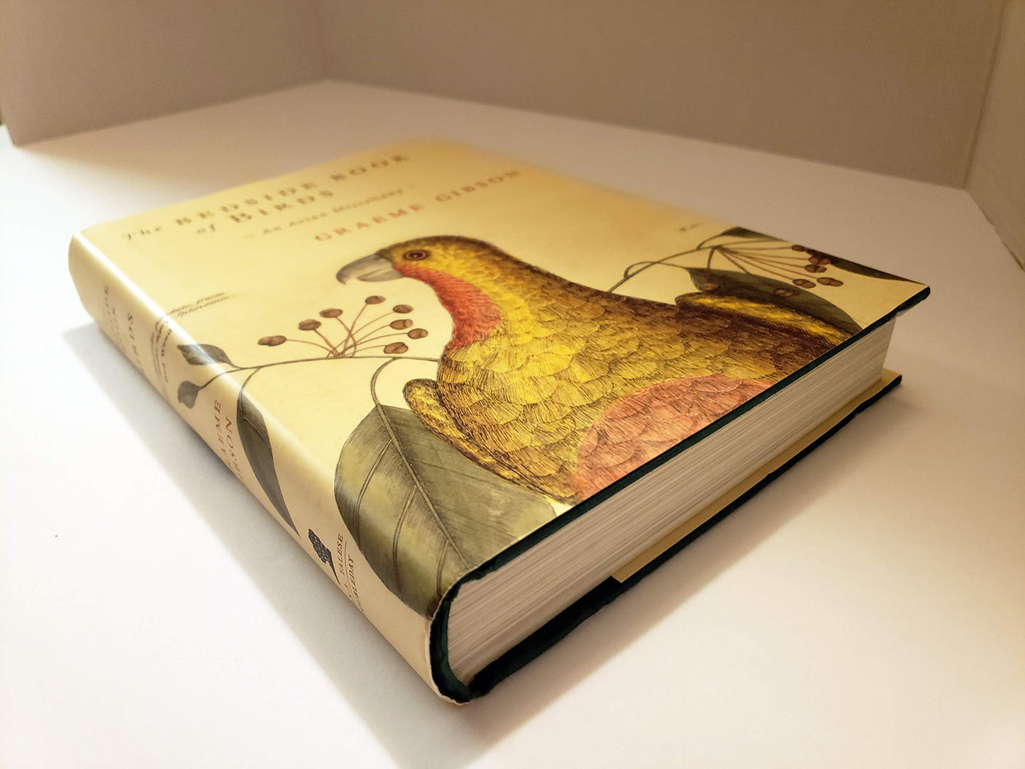 The Bedside Book of Birds: An Avian Miscellany