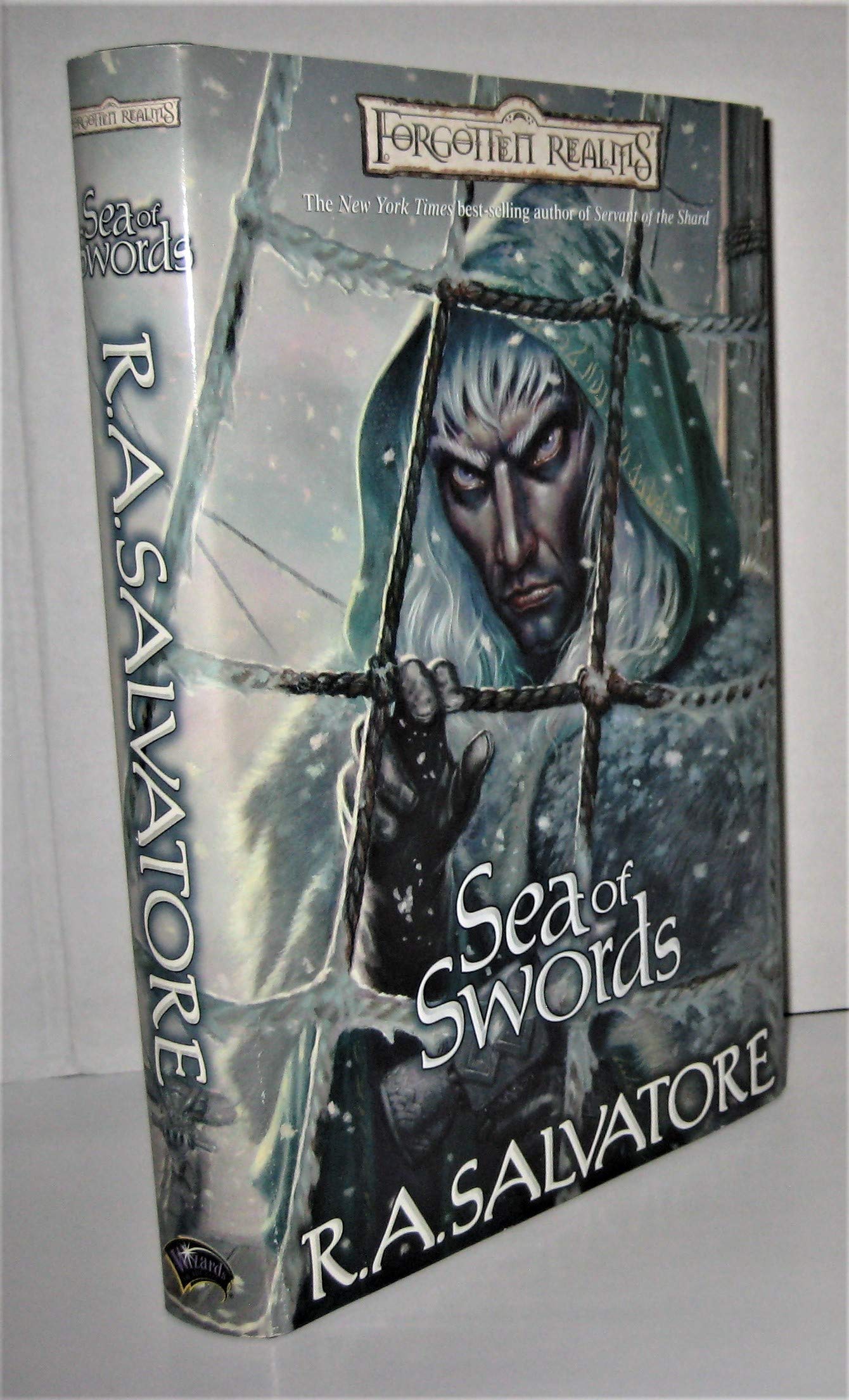 Sea of Swords (Forgotten Realms: Paths of Darkness) (Forgotten Realms: Paths of Darkness, 4)