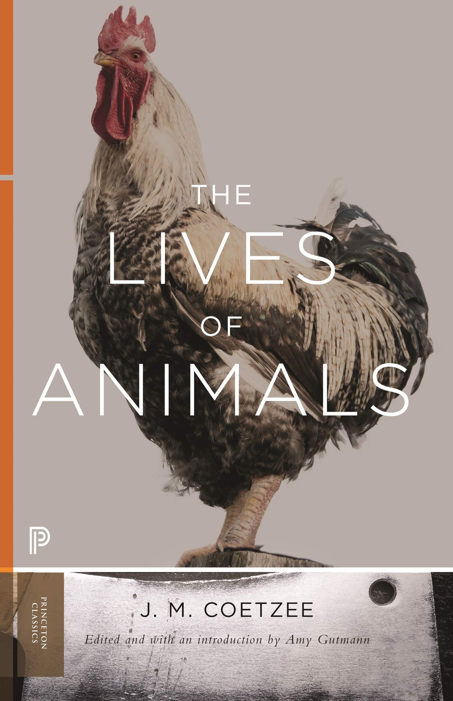 The Lives of Animals (The University Center for Human Values Series)