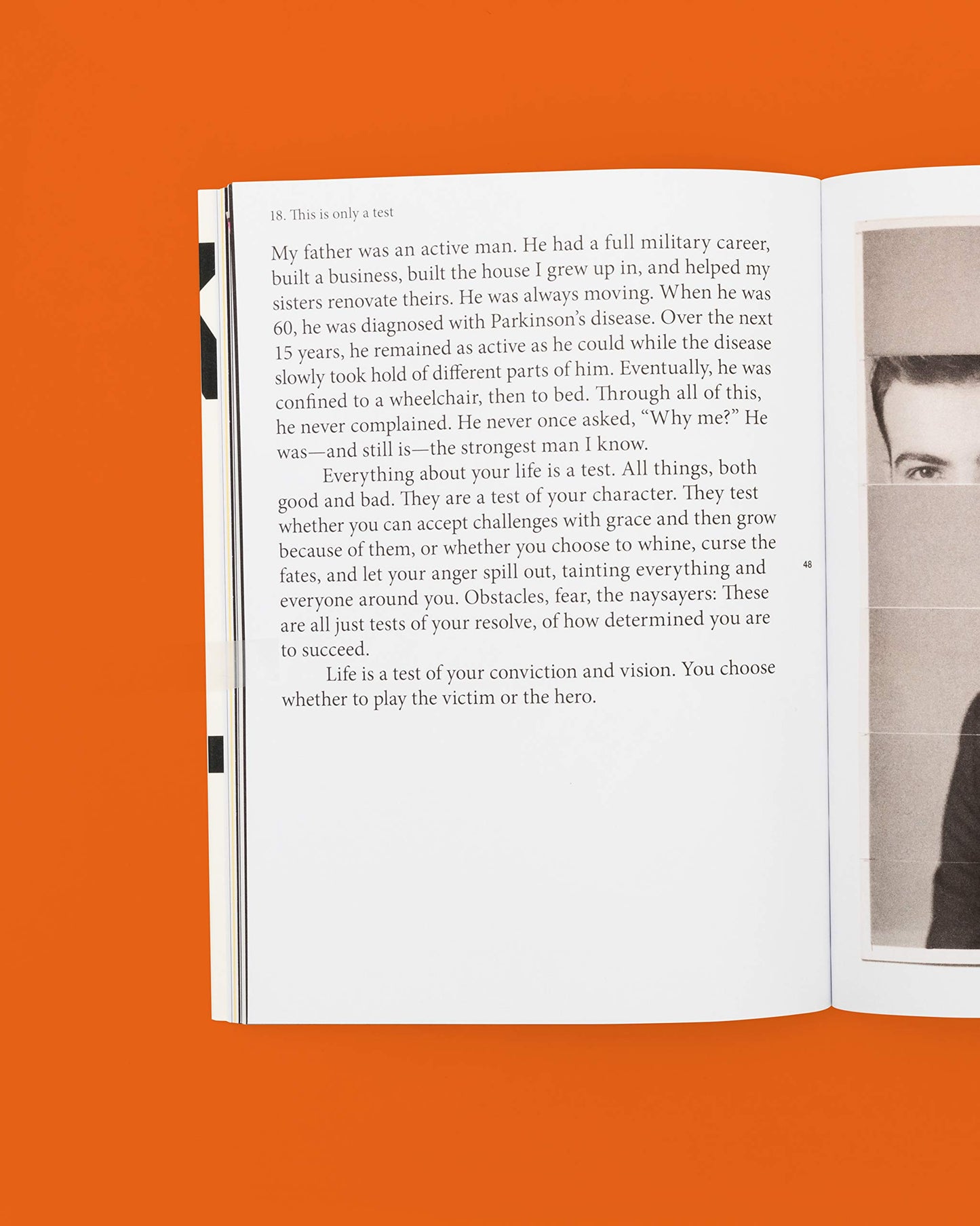 Feck Perfuction: Dangerous Ideas on the Business of Life (Business Books, Graphic Design Books, Books on Success)