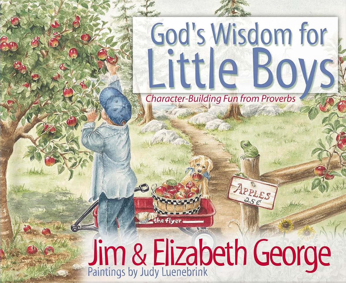 God's Wisdom for Little Boys: Character-Building Fun from Pr