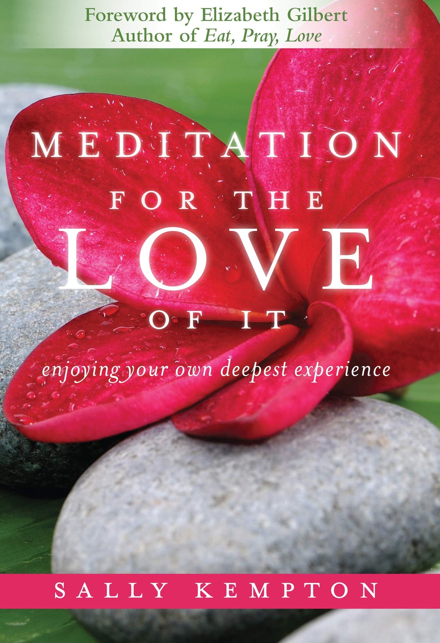 Meditation for the Love of It: Enjoying Your Own Deepest Exp