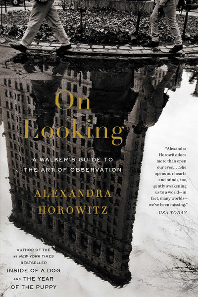 On Looking: A Walker's Guide to the Art of Observation by Ho