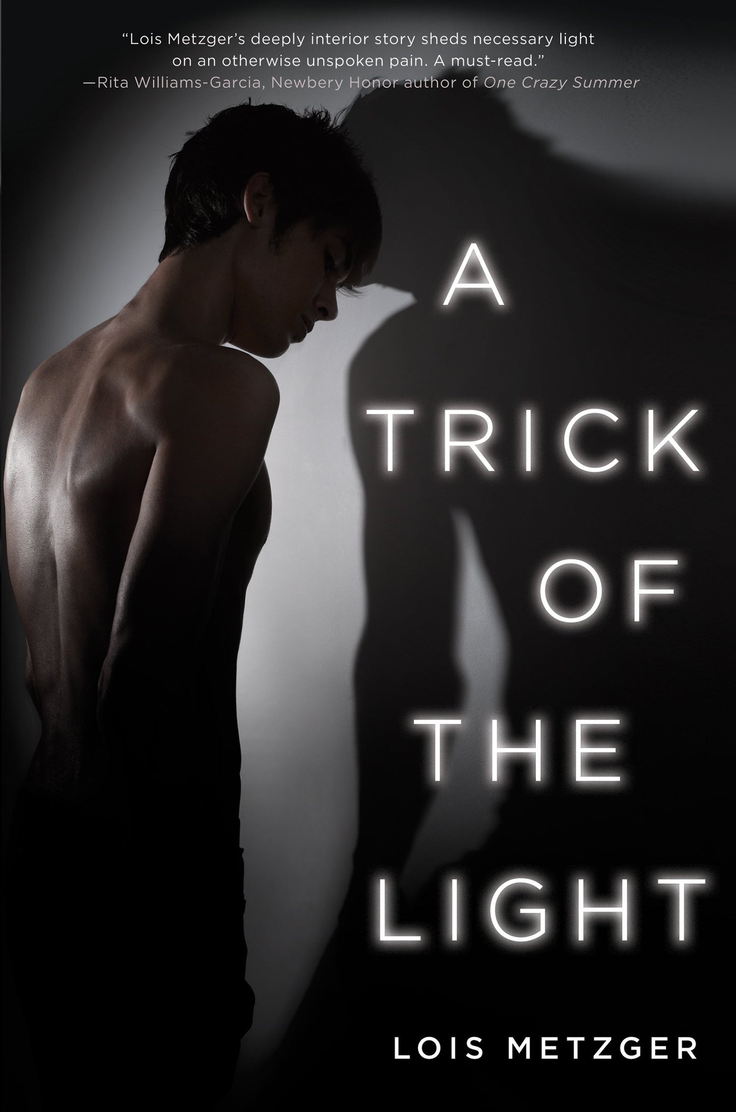 A Trick of the Light by Lois Metzger
