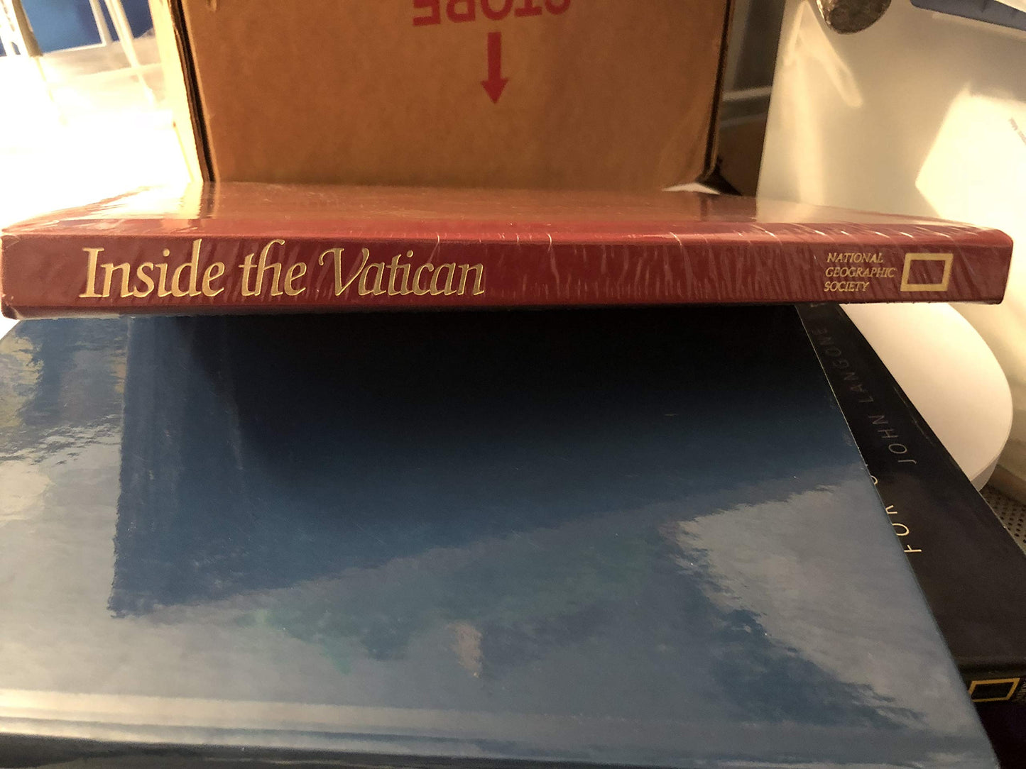 Inside the Vatican: The Politics and Organization of the Cat