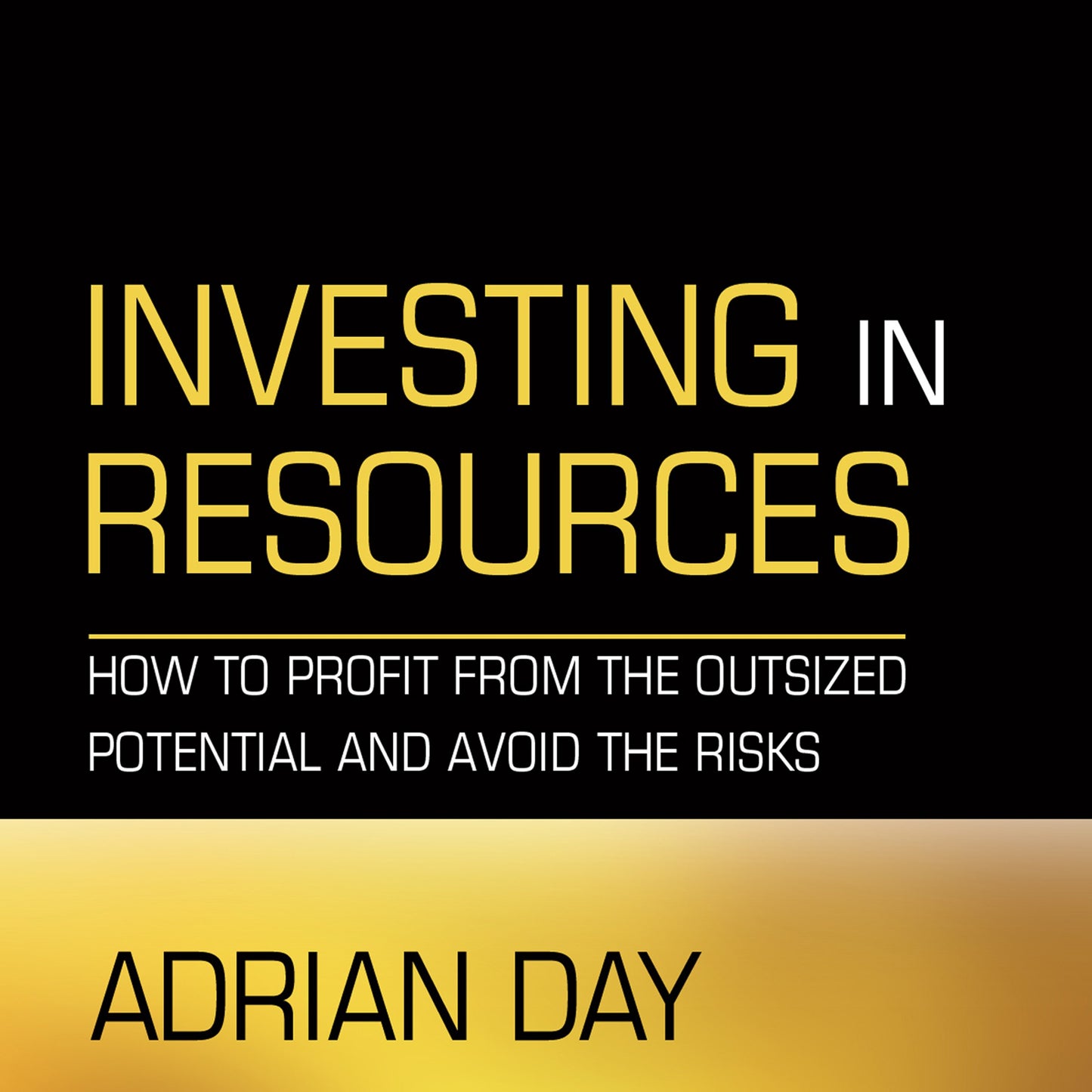 Investing in Resources: How to Profit from the Outsized Pote