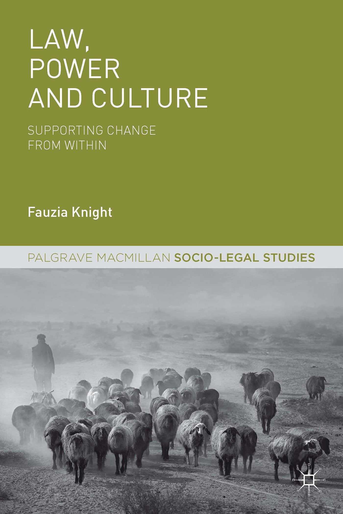 Law, Power and Culture: Supporting Change From Within (Palgrave Socio-Legal Studies)