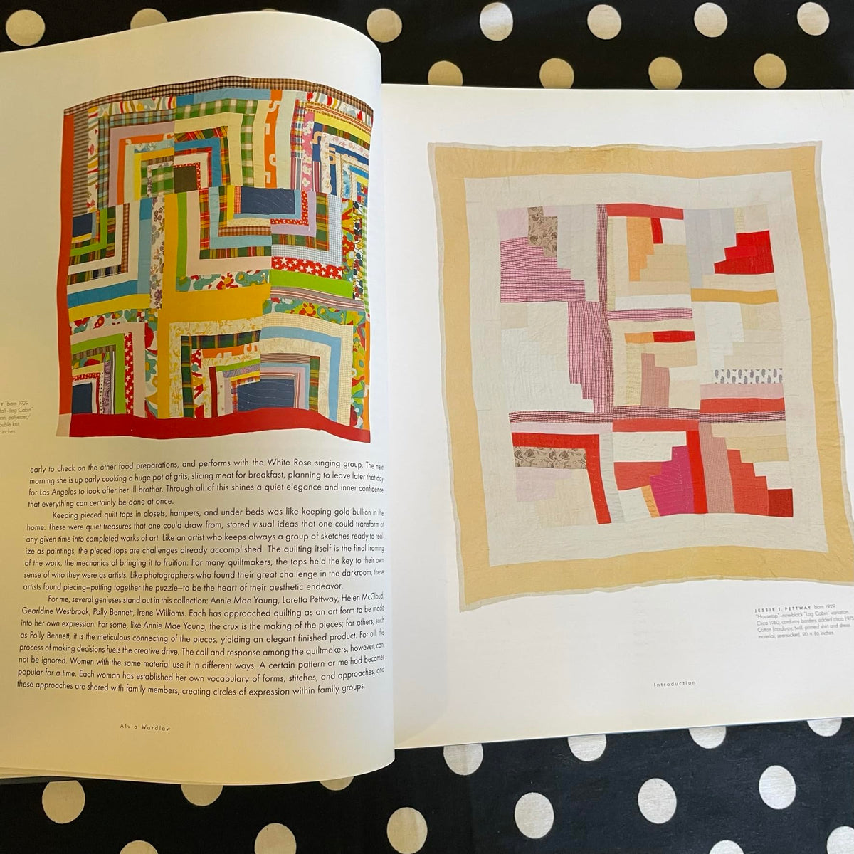 The Quilts of Gee's Bend