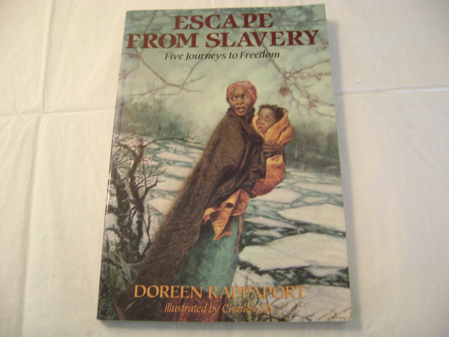 Escape from Slavery: Five Journeys to Freedom