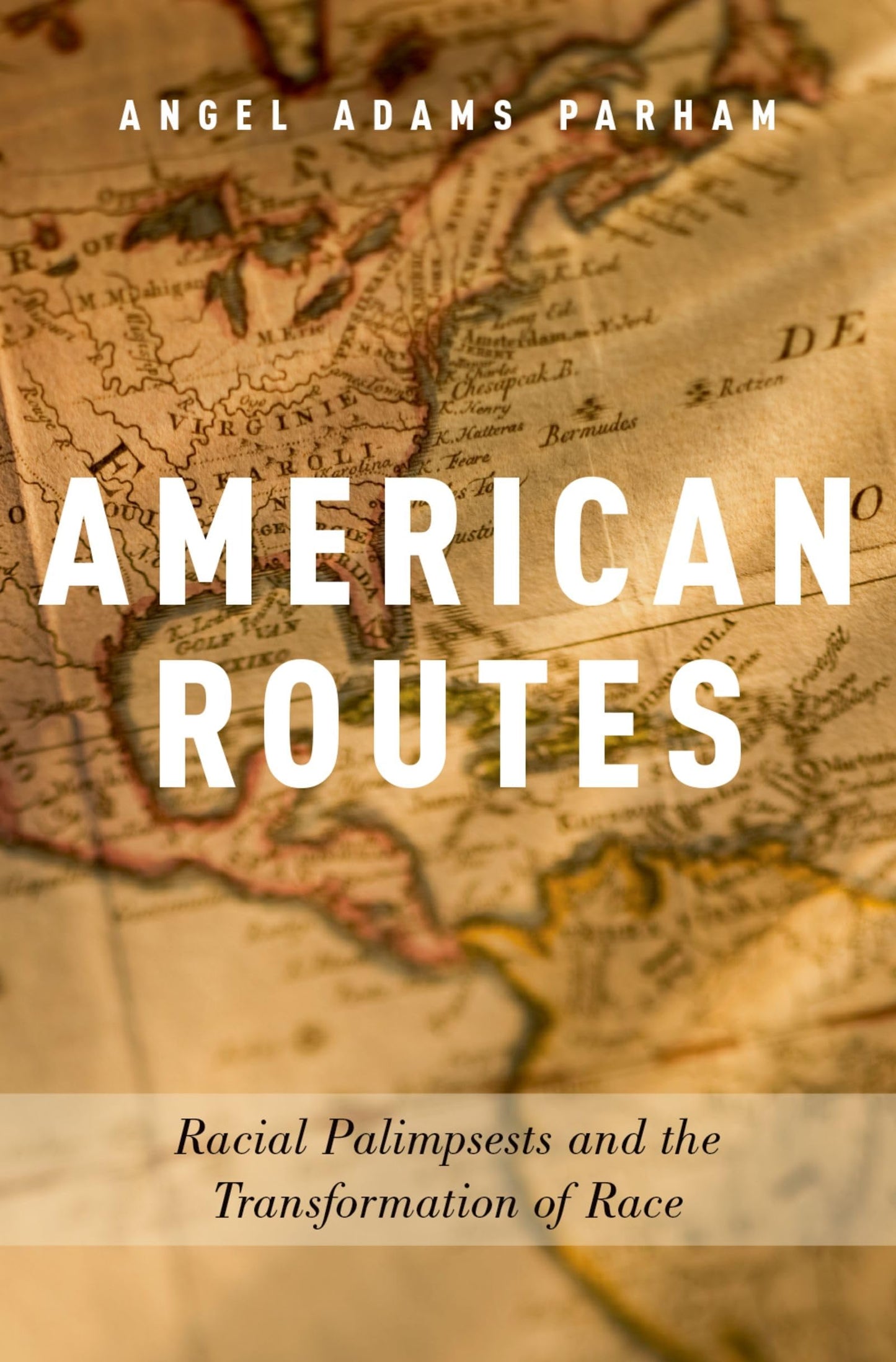American Routes: Racial Palimpsests and the Transformation of Race