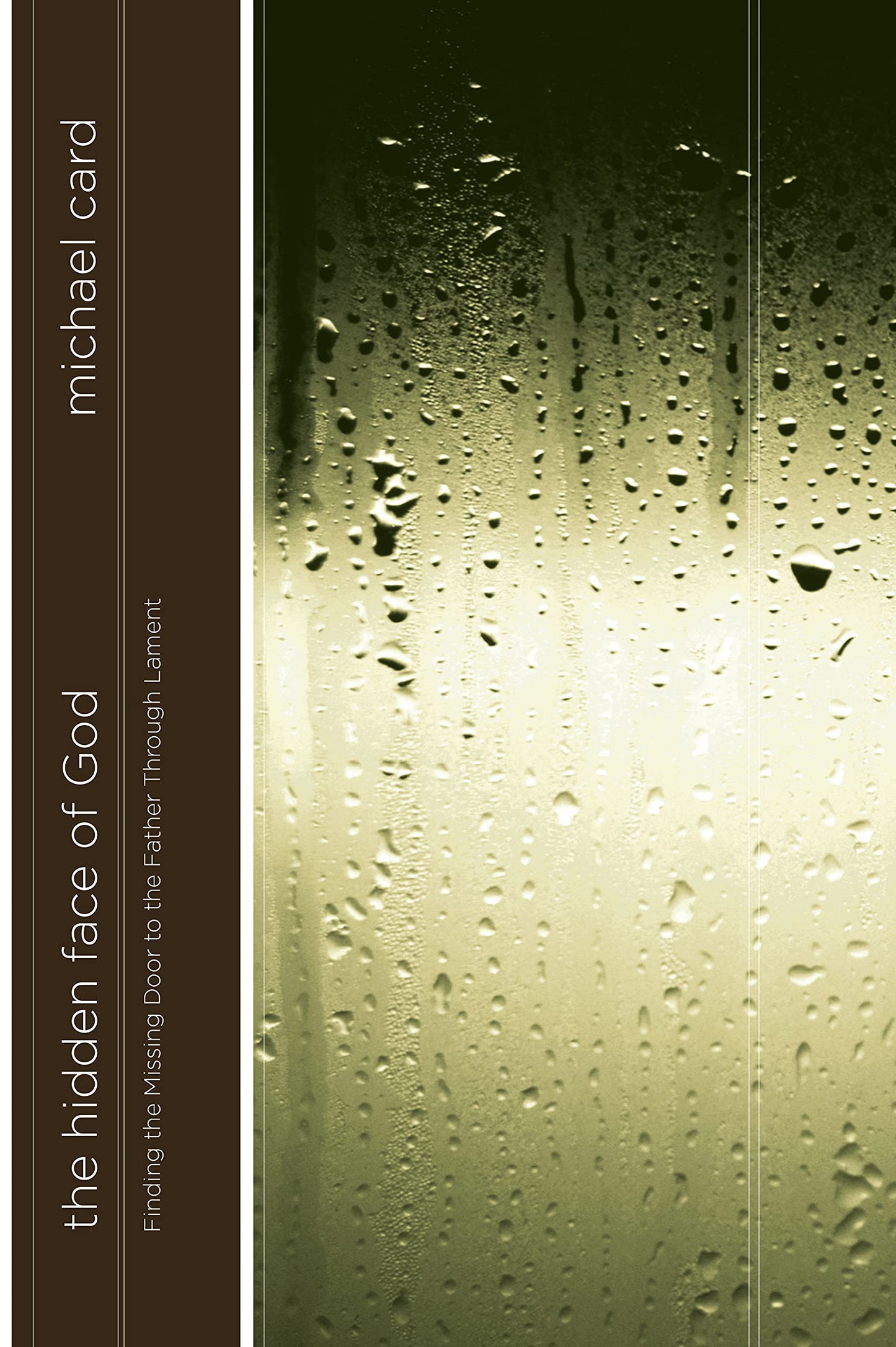 The Hidden Face of God: Finding the Missing Door to the Father Through Lament