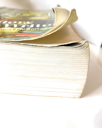 The Story and Its Writer: An Introduction to Short Fiction b