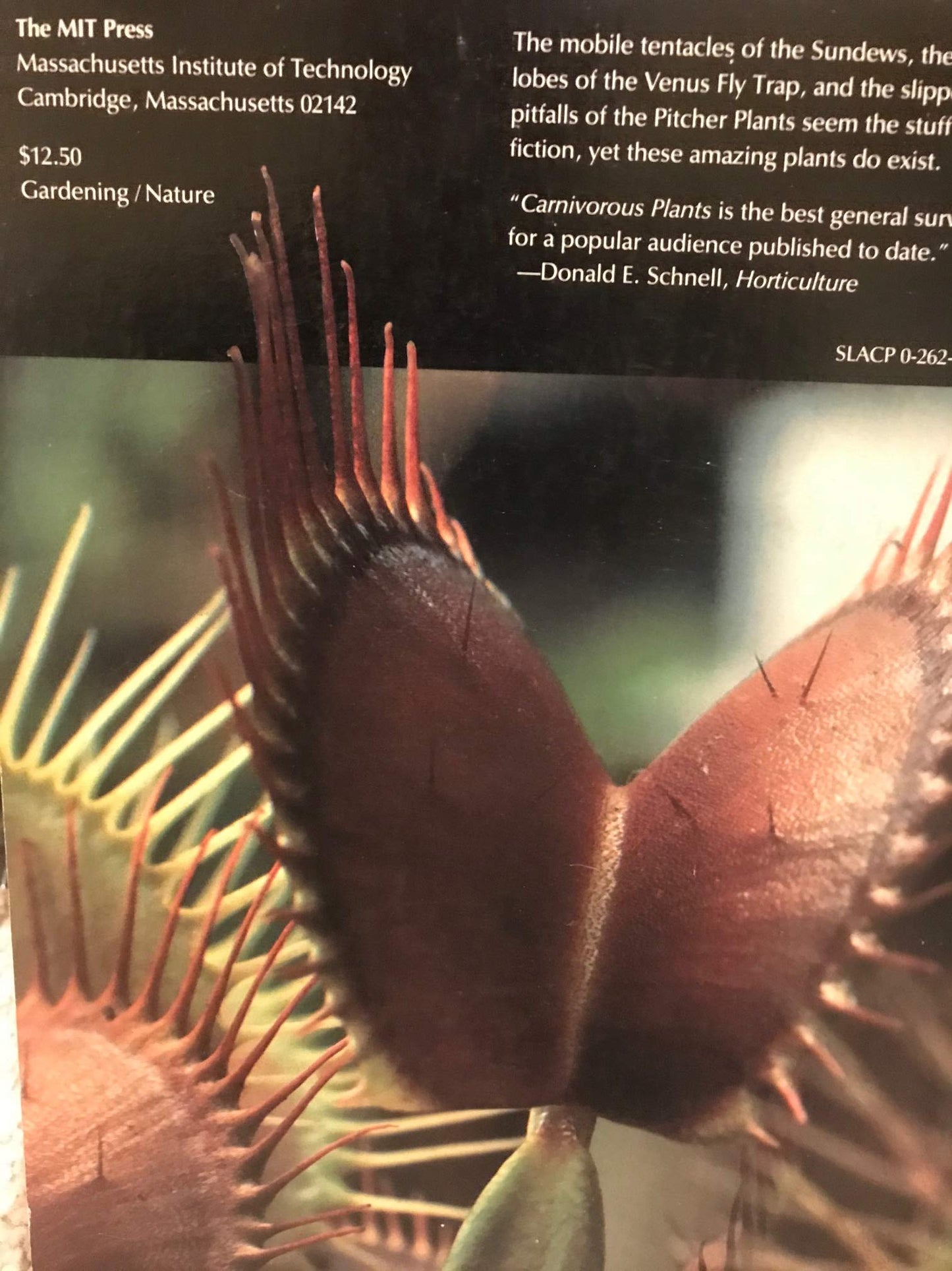 Carnivorous Plants by Adrian Slack
